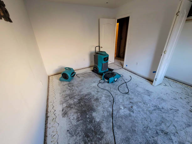 Best Basement water damage restoration  in Poquonock Bridge, CT