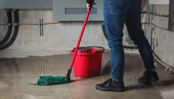 Best Professional water damage repair  in Poquonock Bridge, CT