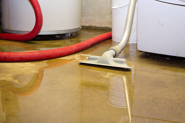 Best Flood restoration services  in Poquonock Bridge, CT
