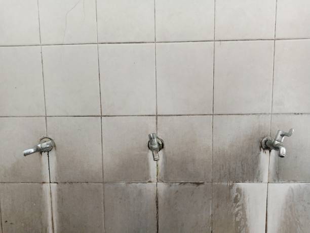Best Residential water damage restoration  in Poquonock Bridge, CT